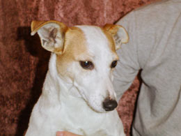 mamka