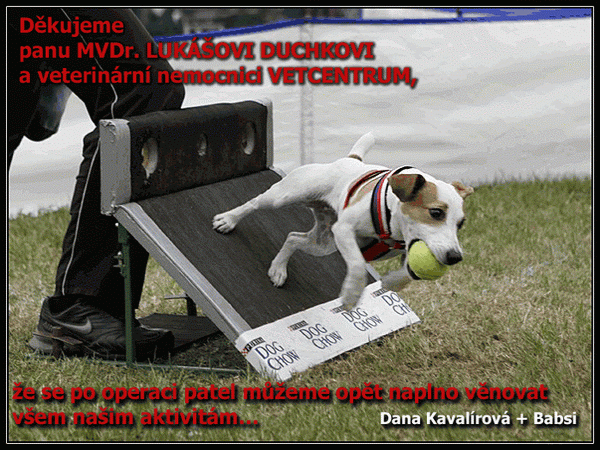 flyball 2007