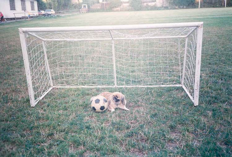 Popis: fotbalistka Peggy (Roudná)  